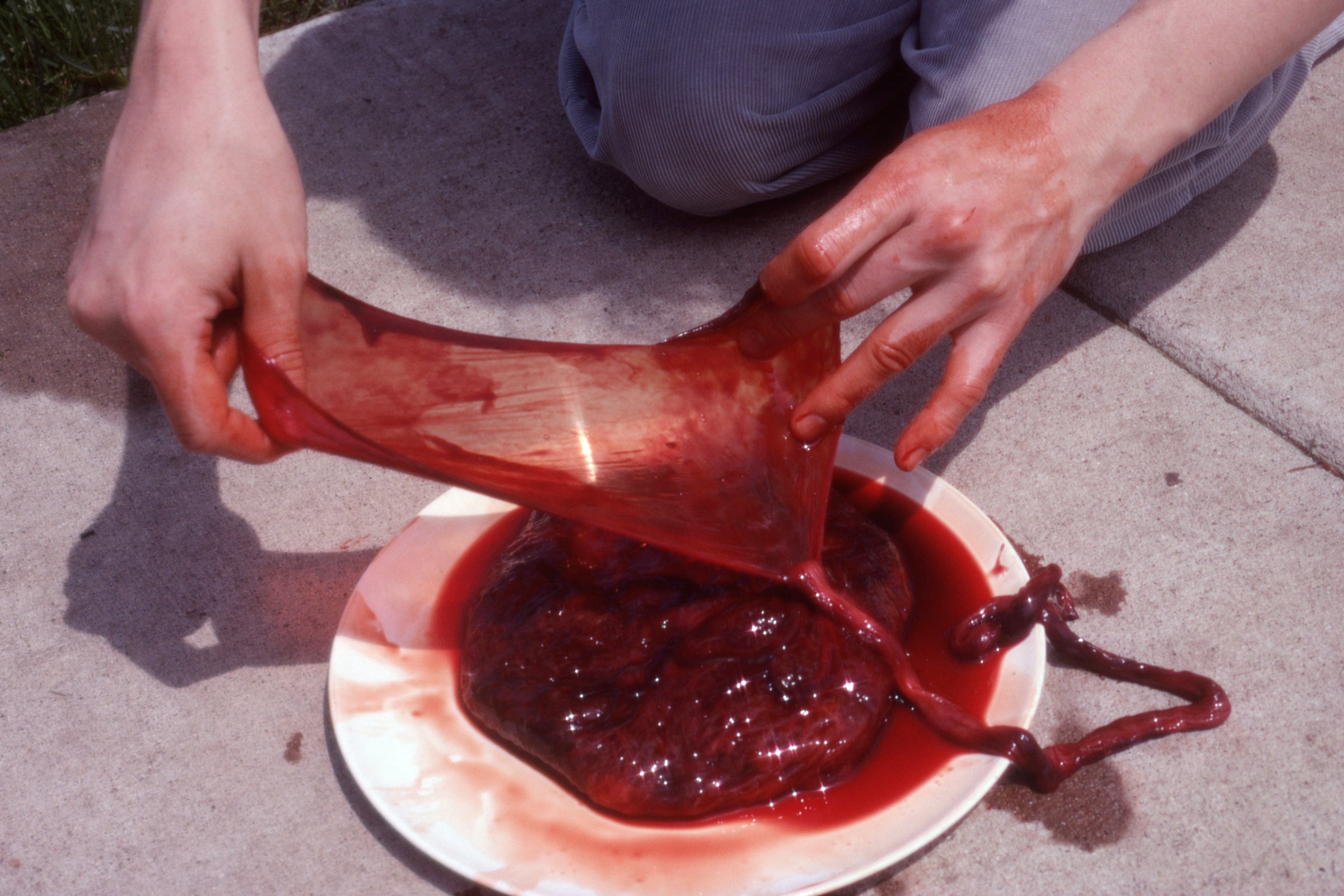 Tealia's placenta, Anne's hands, 2024/1978