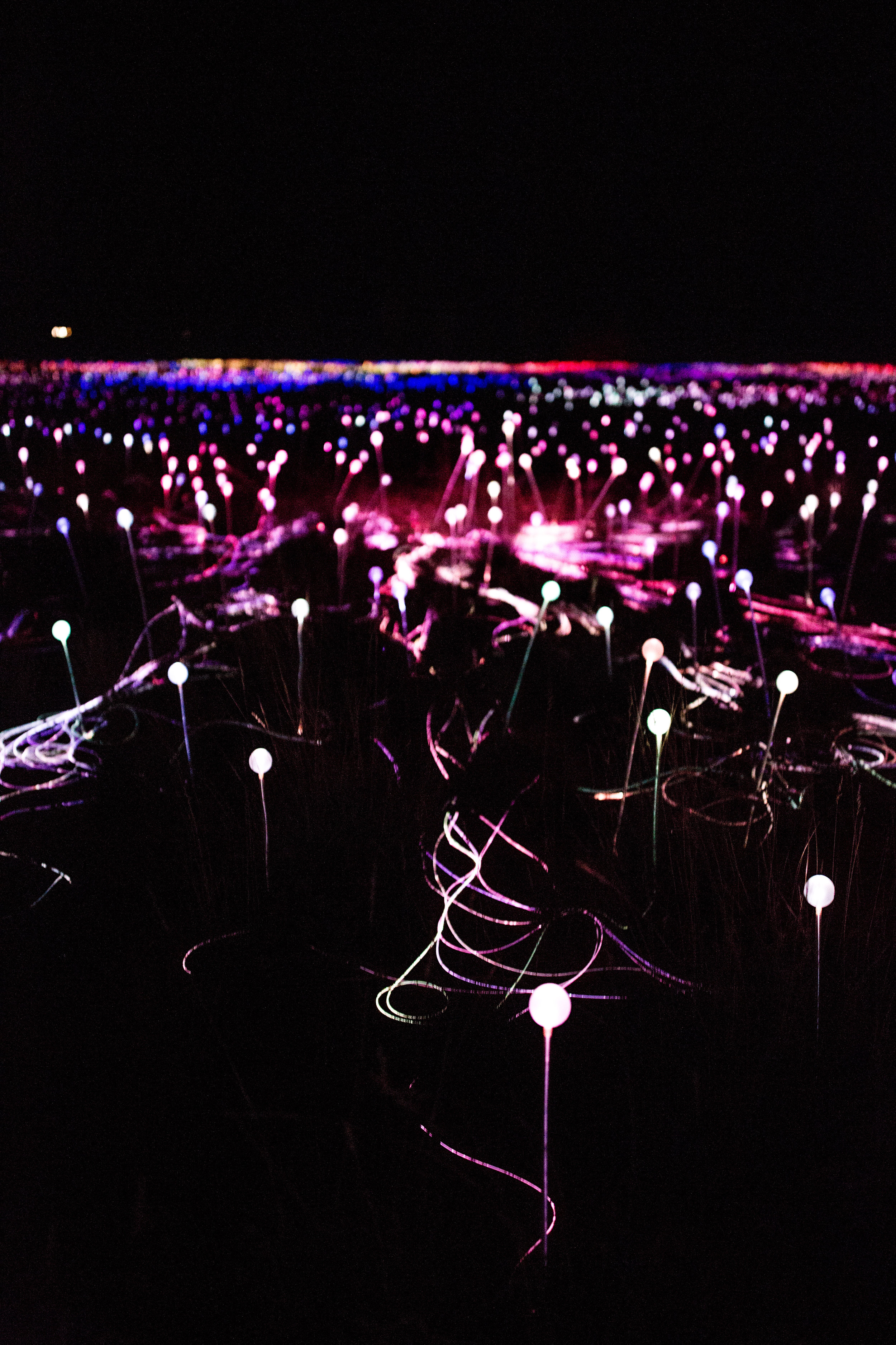 Field of Light