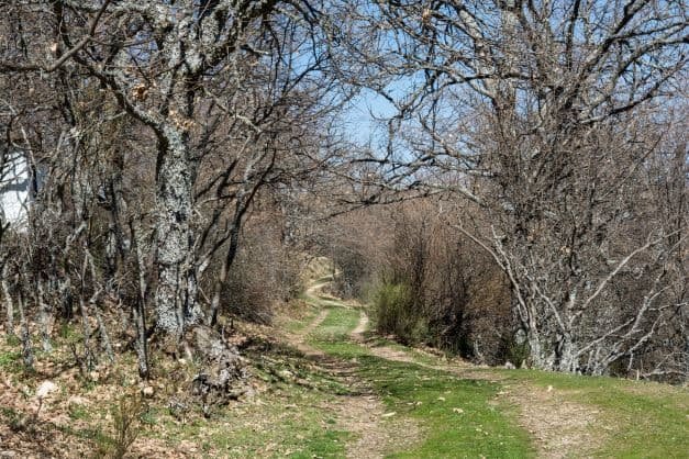 Psychothérapie à Madrid.