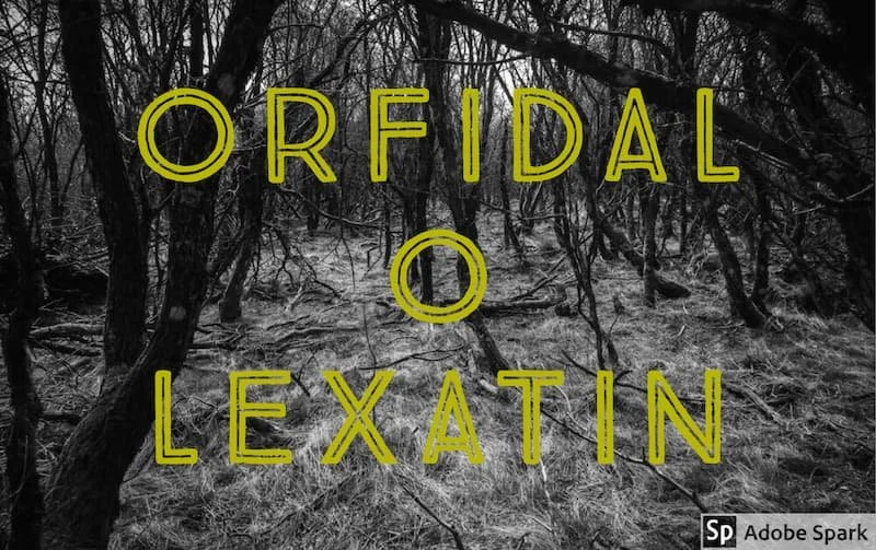 Orfidal o lexatin: cuál es mejor.