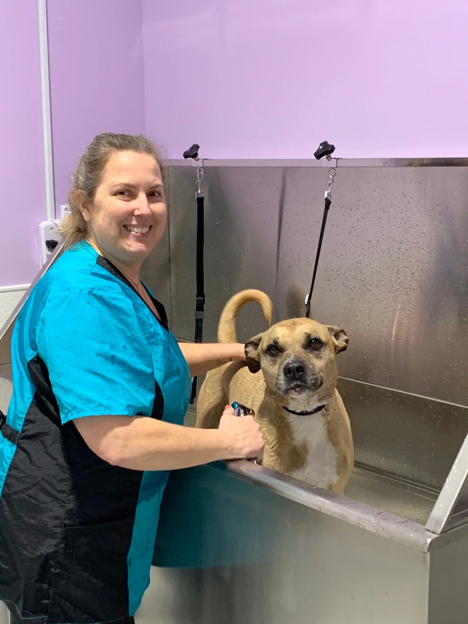 Grooming — Emmy's Barking Lot