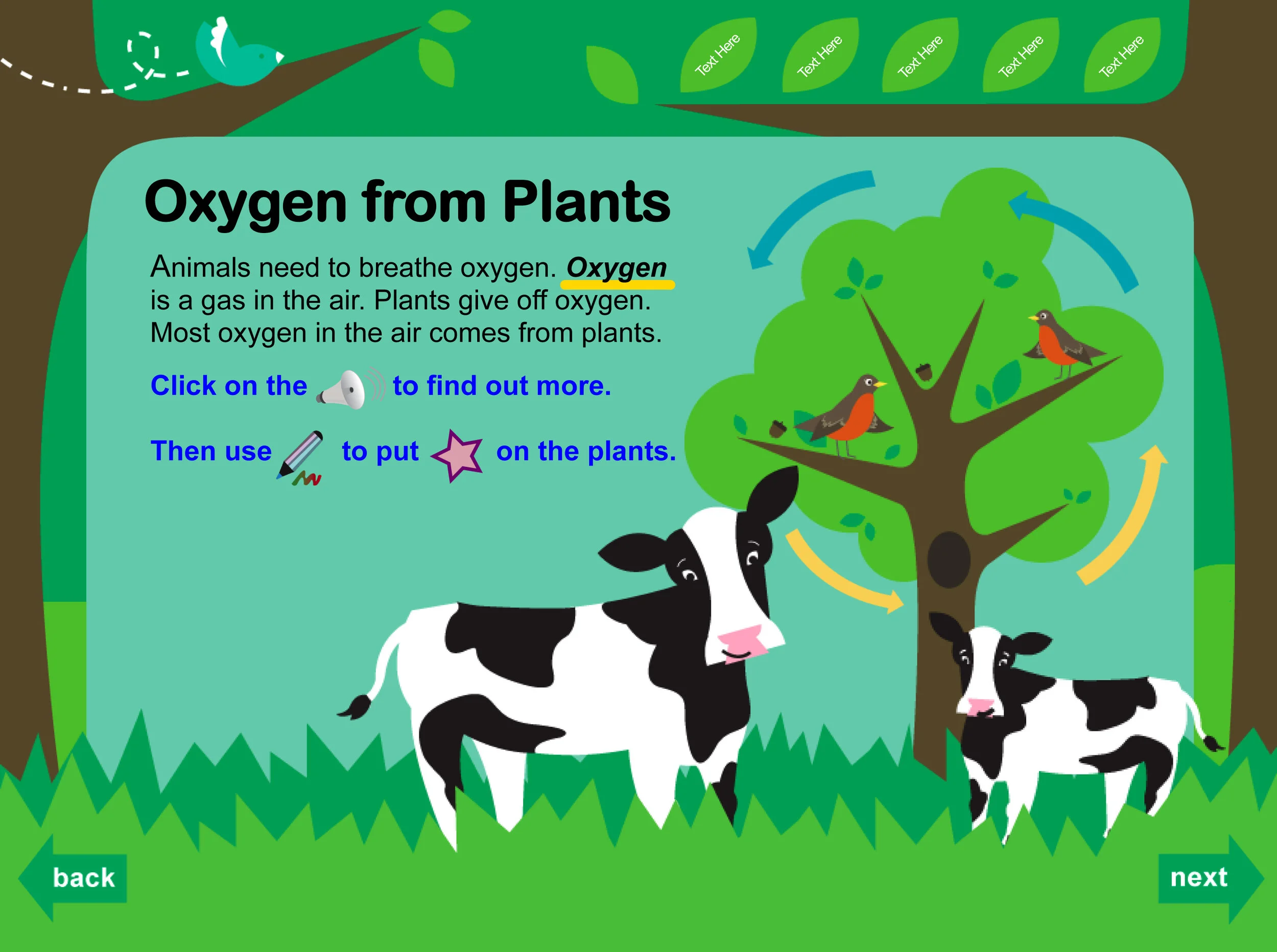 How Do Plants Help Animals? — main5design