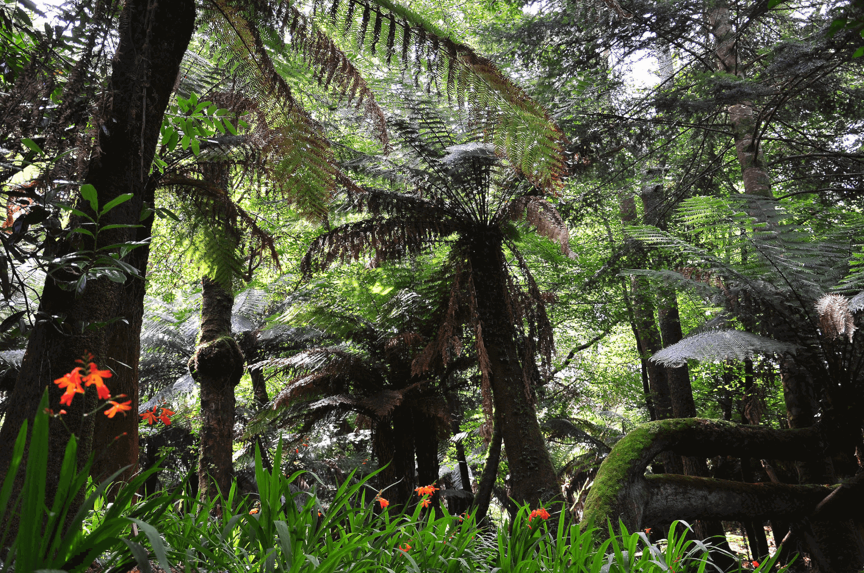 9290-kells garden 4.png