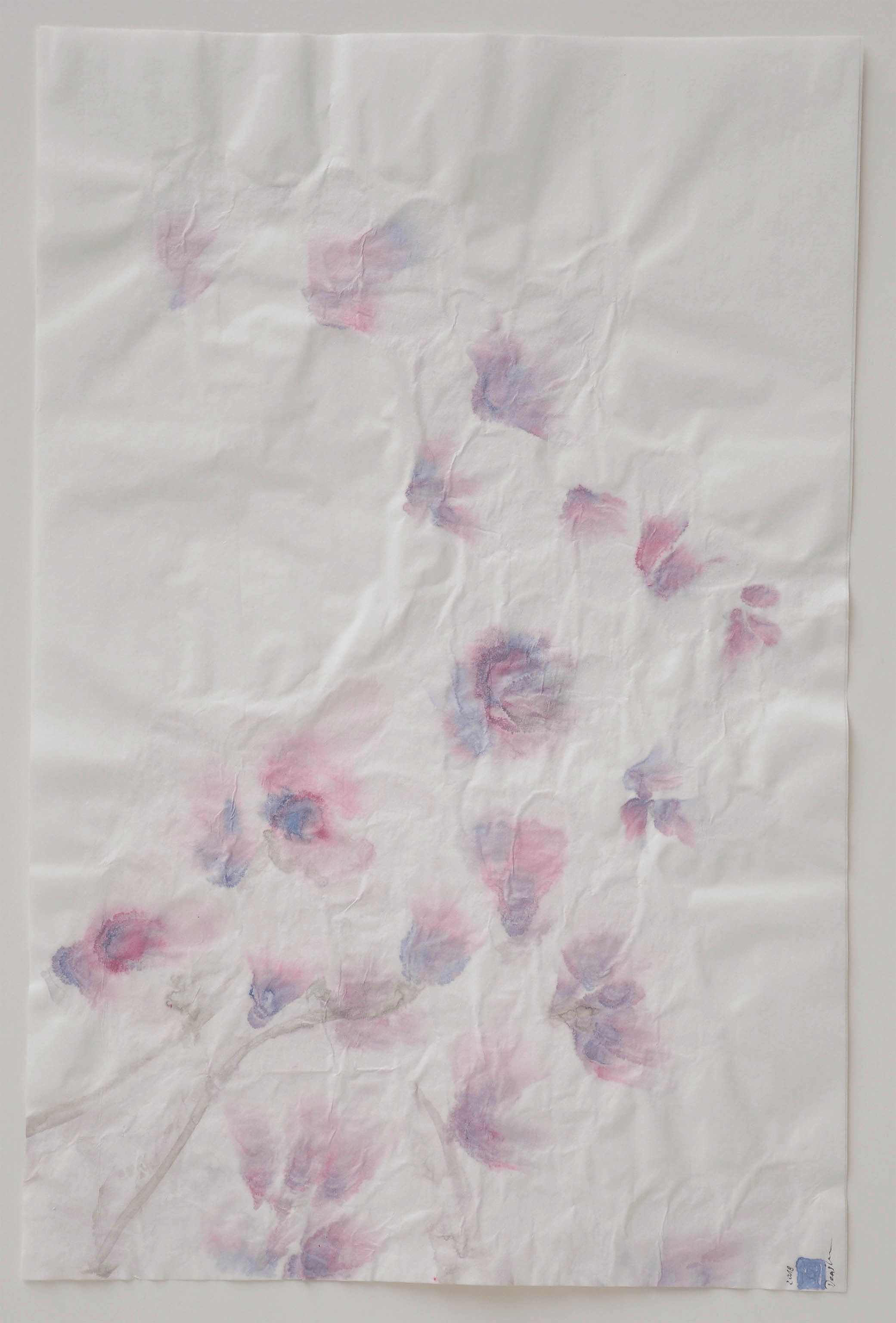 9378-magnolias III.png