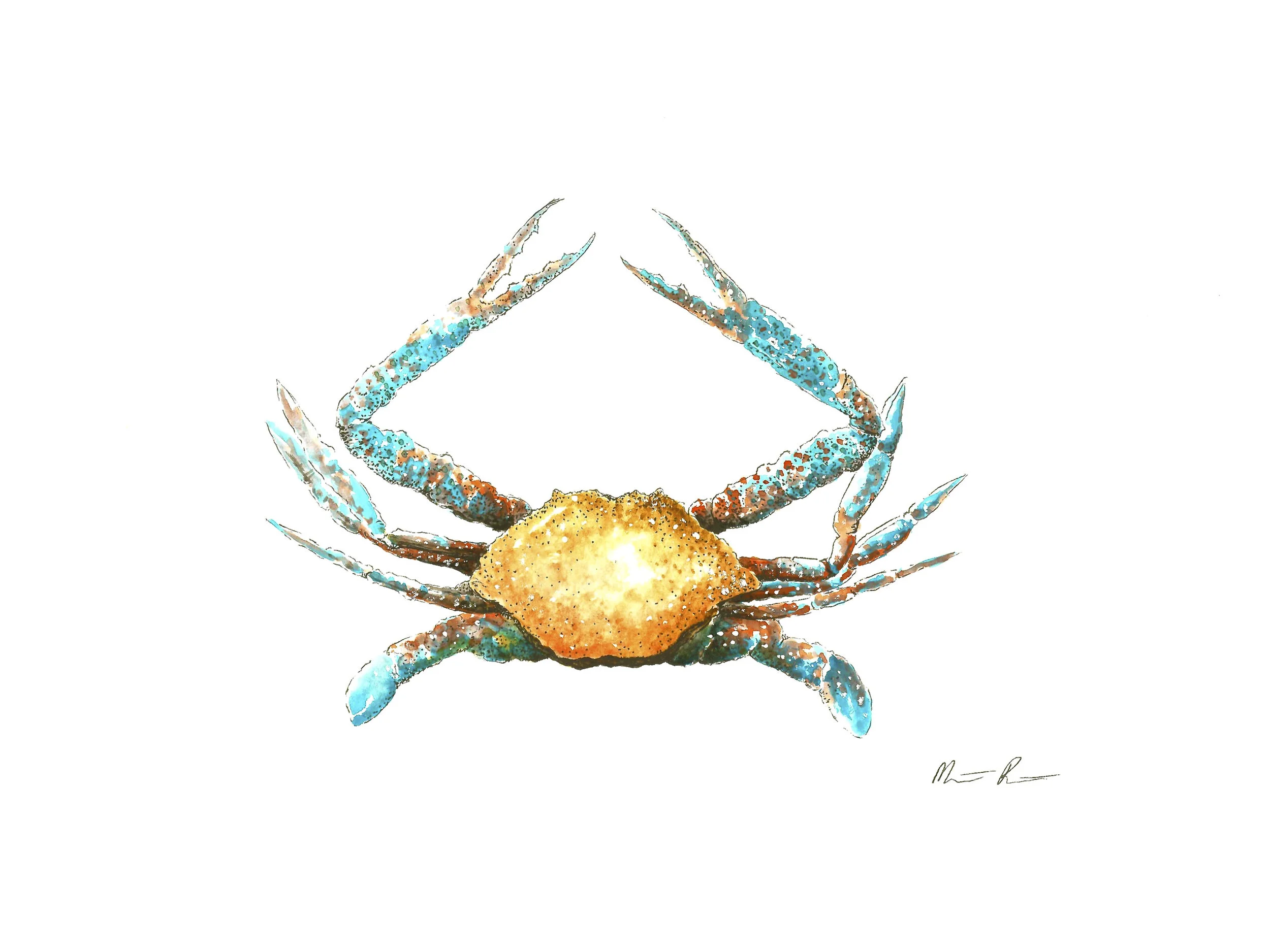 Crab.jpg