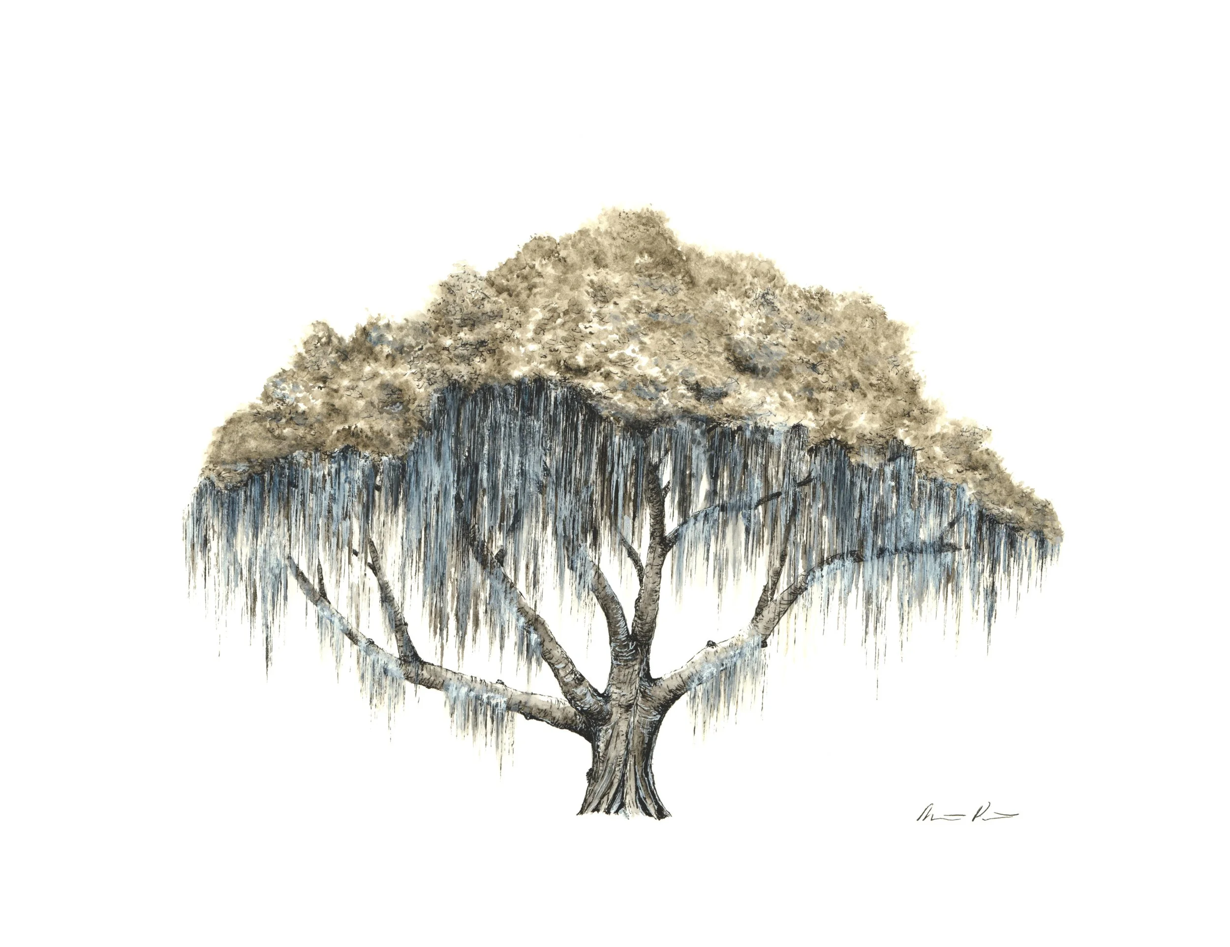 Spanish Moss Tree