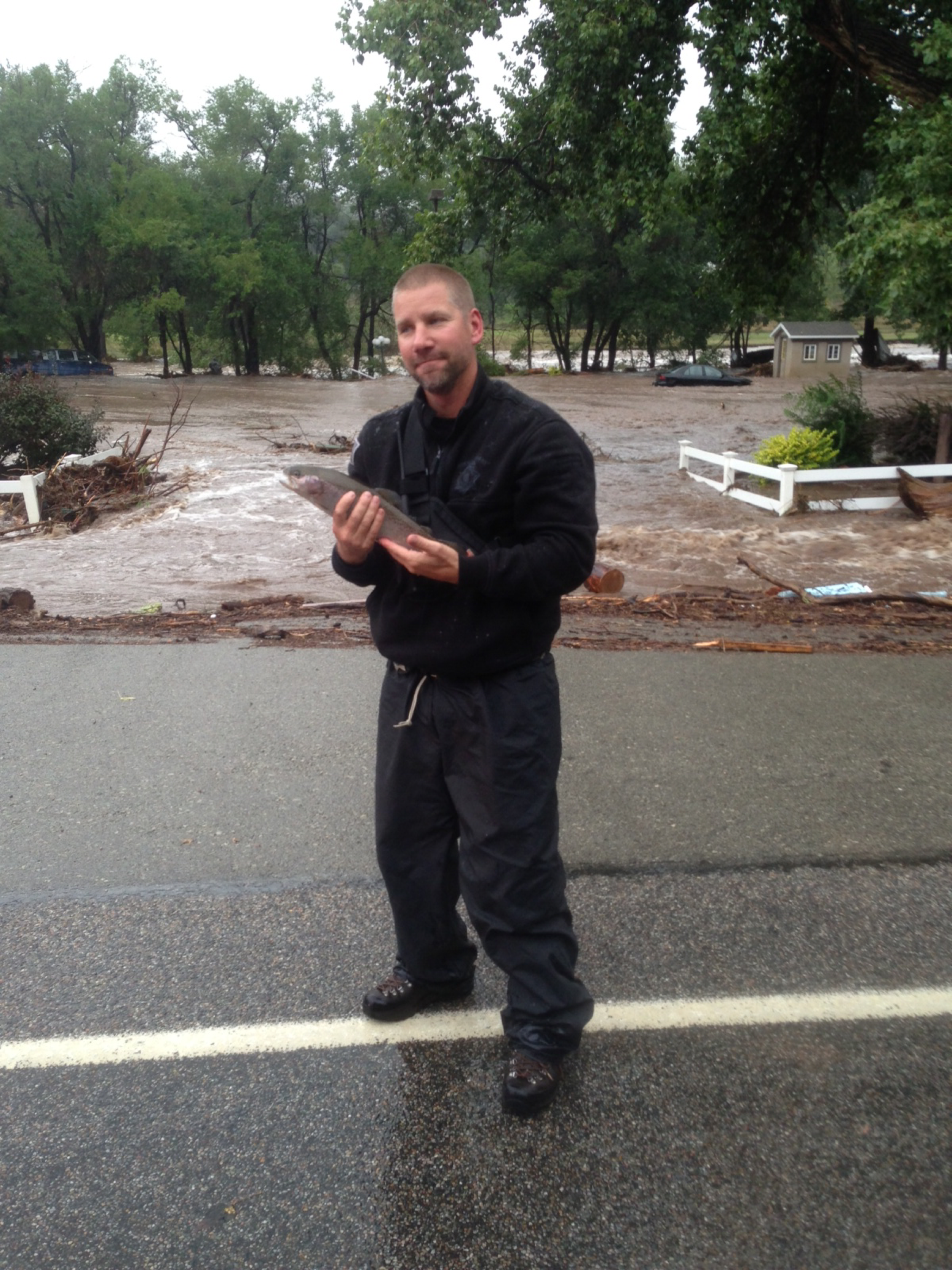  Rainbow trout found alive in middle of Highway 36, North Saint Vrain. 
