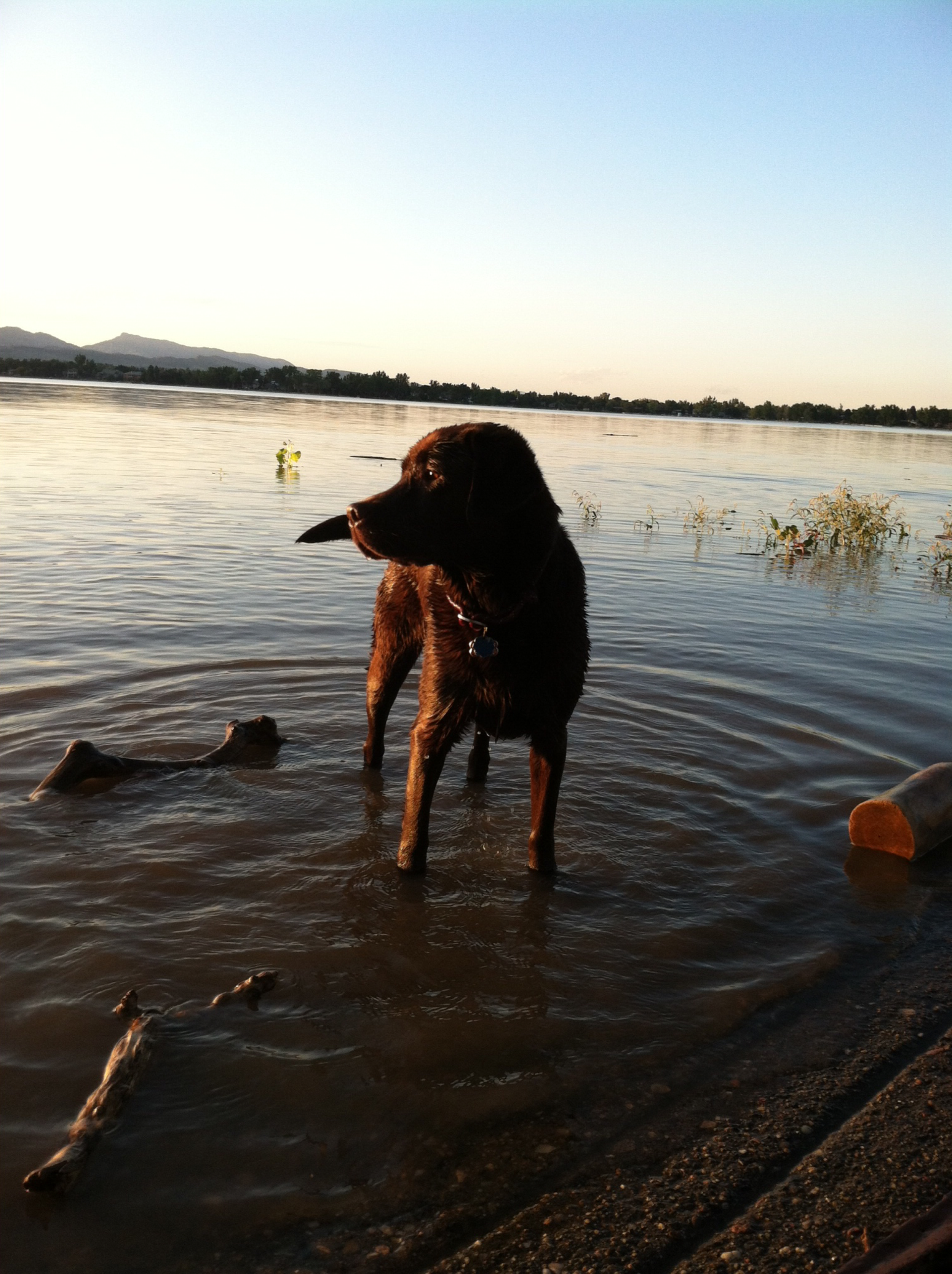  Mac standing watches waiting for the fish inspection. 