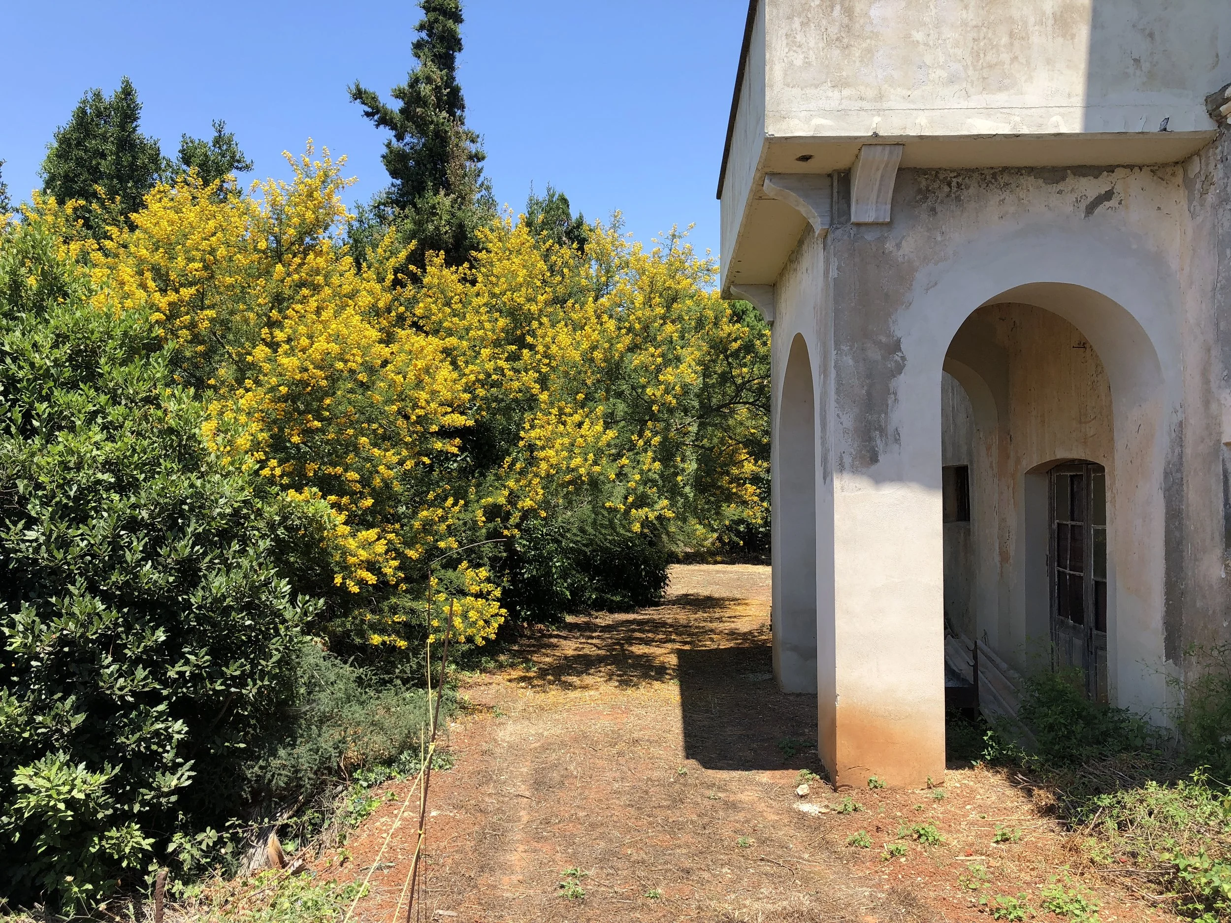 A rustic house with arched doorways and a weathered facade stands alongside a path surrounded by lush greenery and blooming yellow flowers under a clear blue sky.
