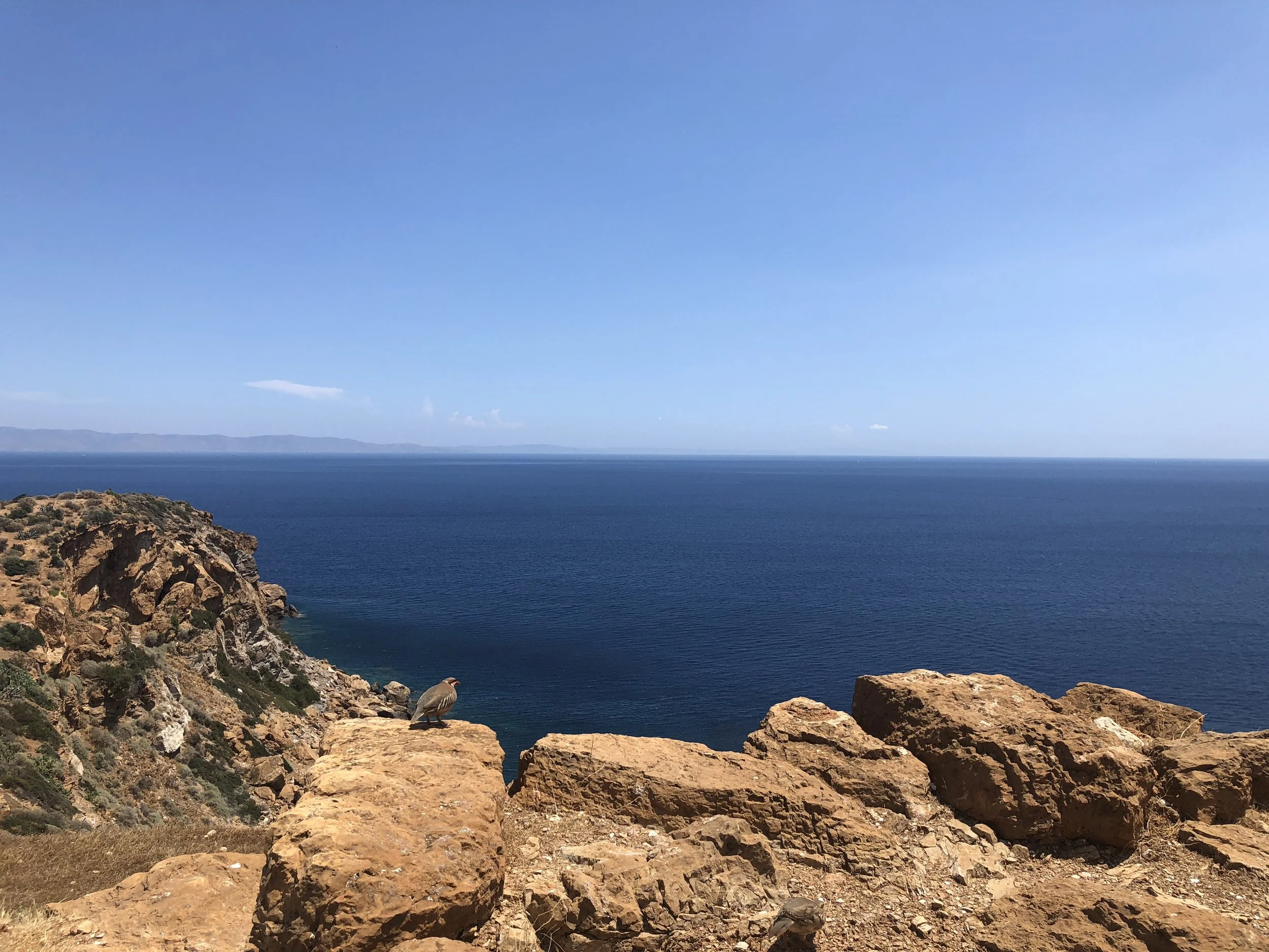 Rocky cliff overlooking a vast blue sea under a clear sky.