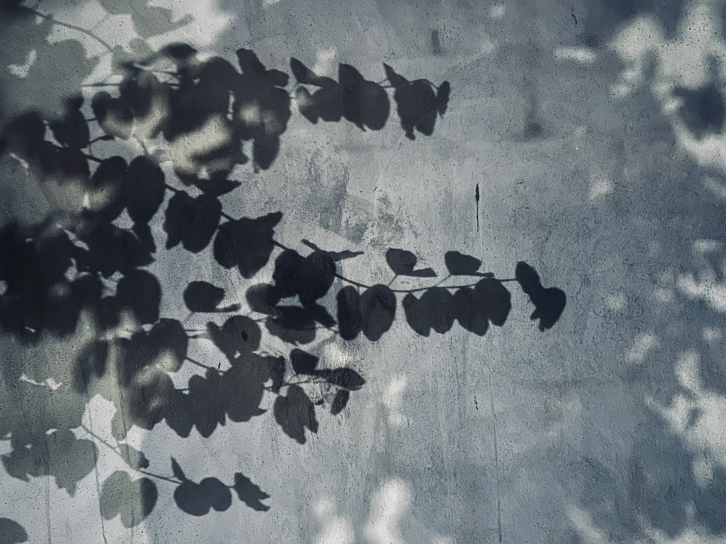 Playing In The Shadows