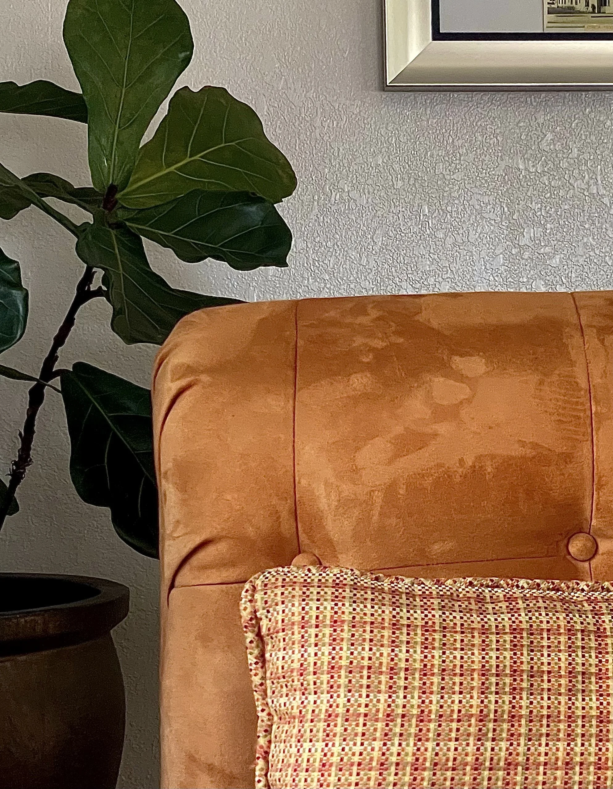 Chamoise Design Collective by Alberto Marzan.jpeg