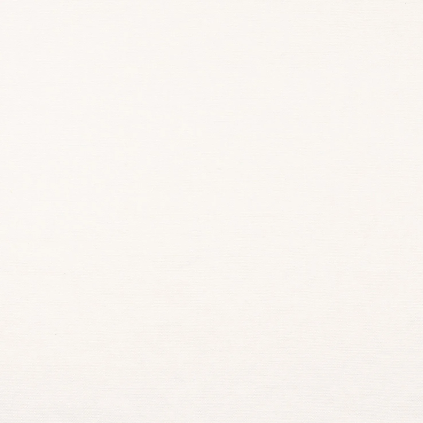 Garzon Parchment.jpg