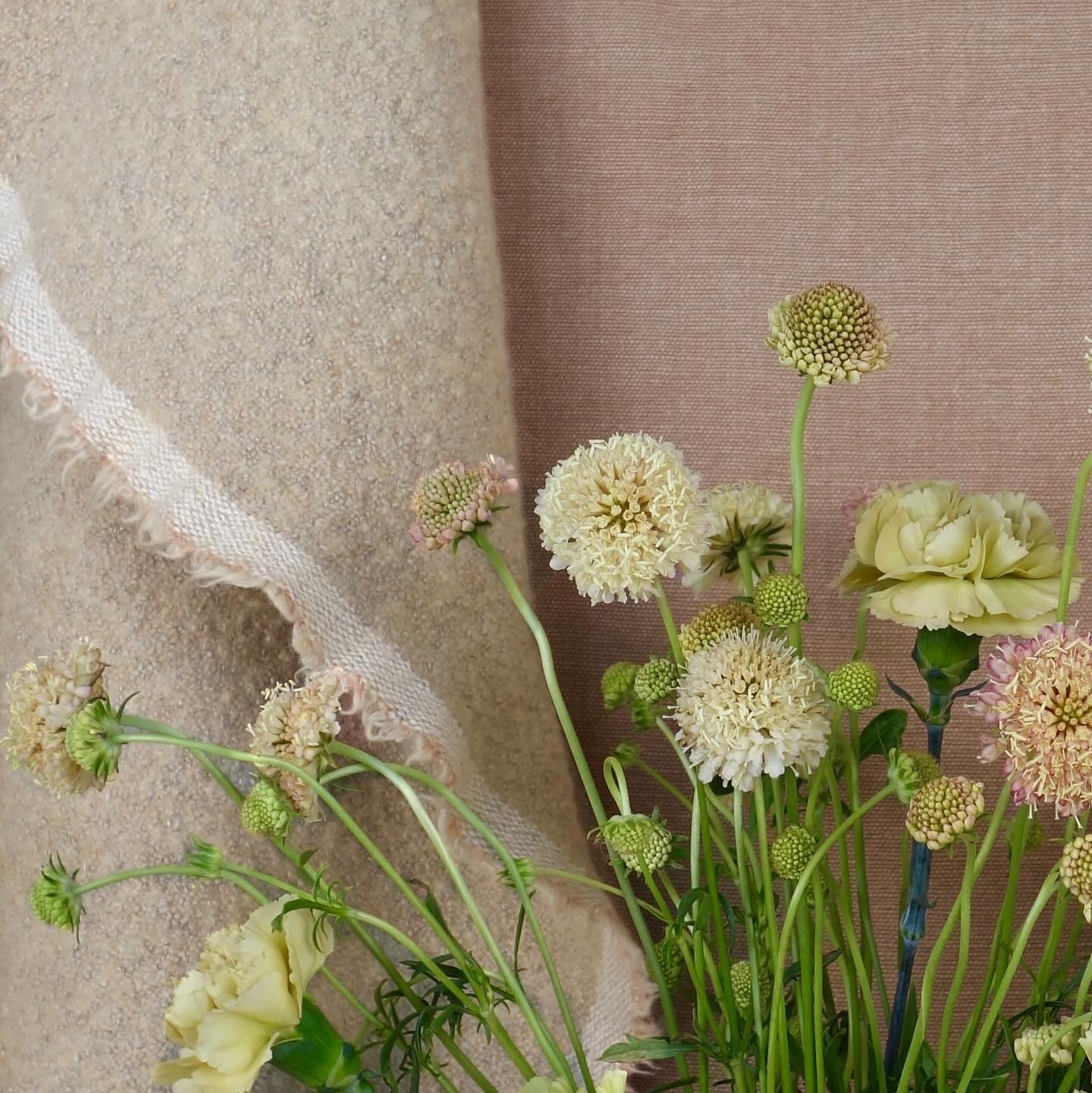 Leith in Pomelo &bull; Palma Clay
