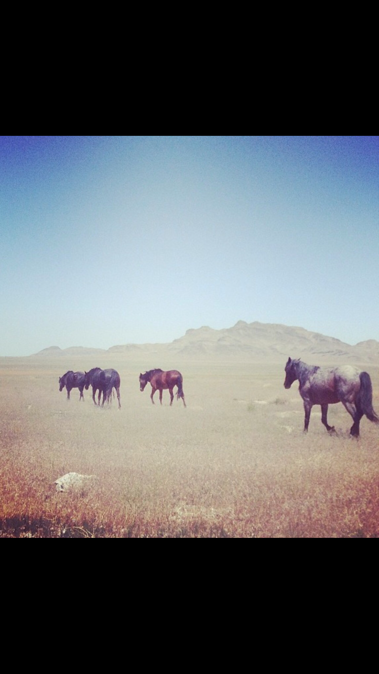 The Universe Responds...