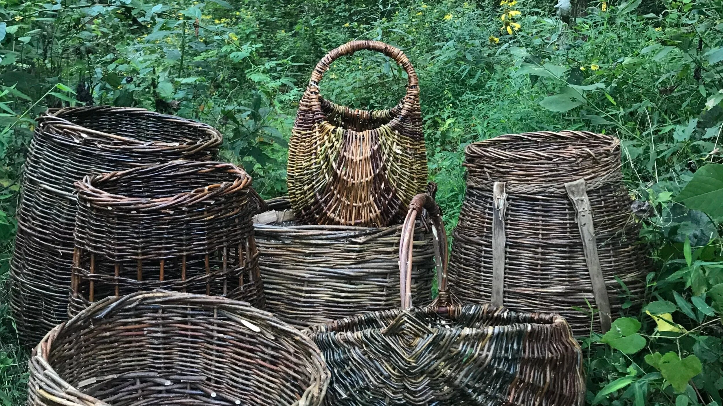 Willow Pack Baskets — Holistic Survival School