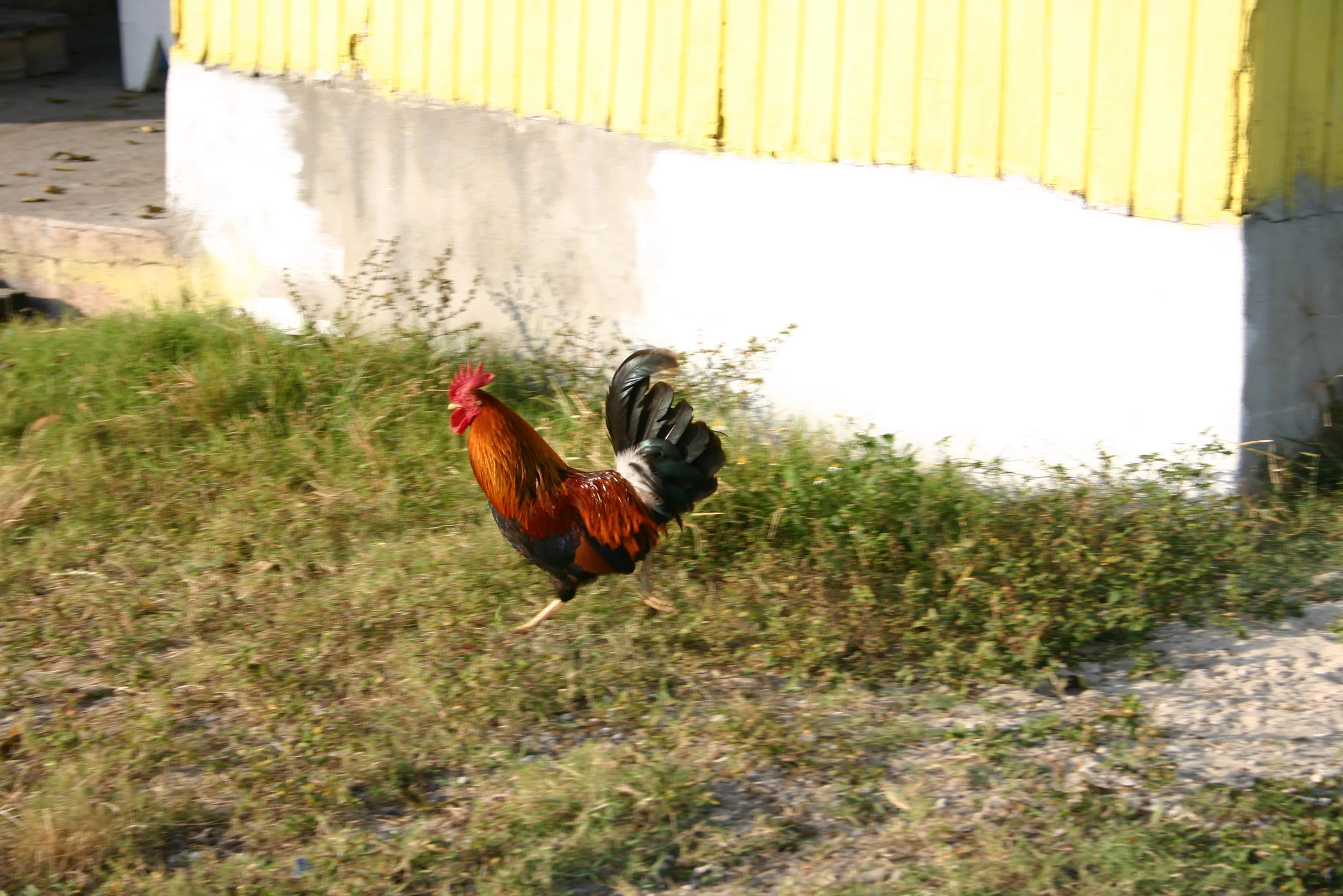 IMG_0139.jpg