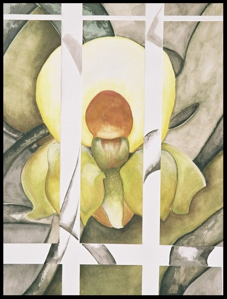 Tree Orchid
