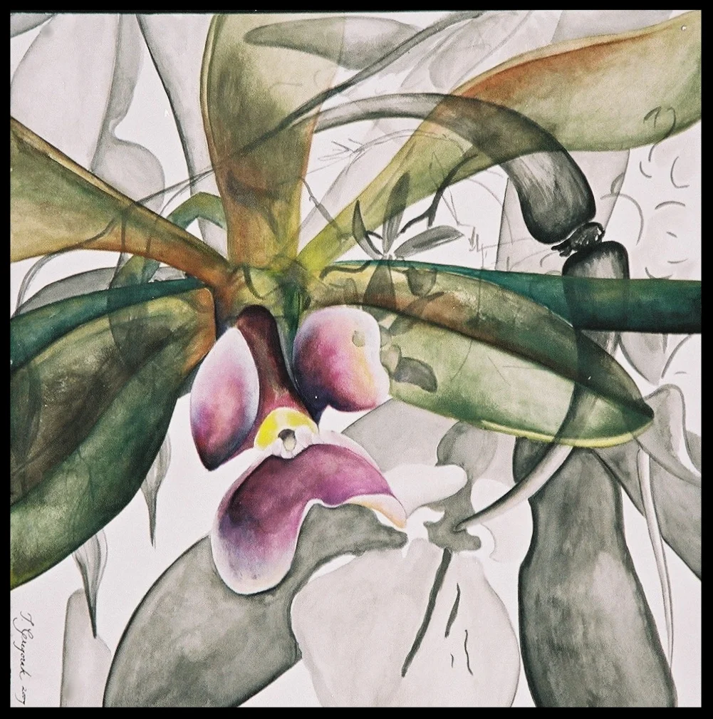 Encleucantha