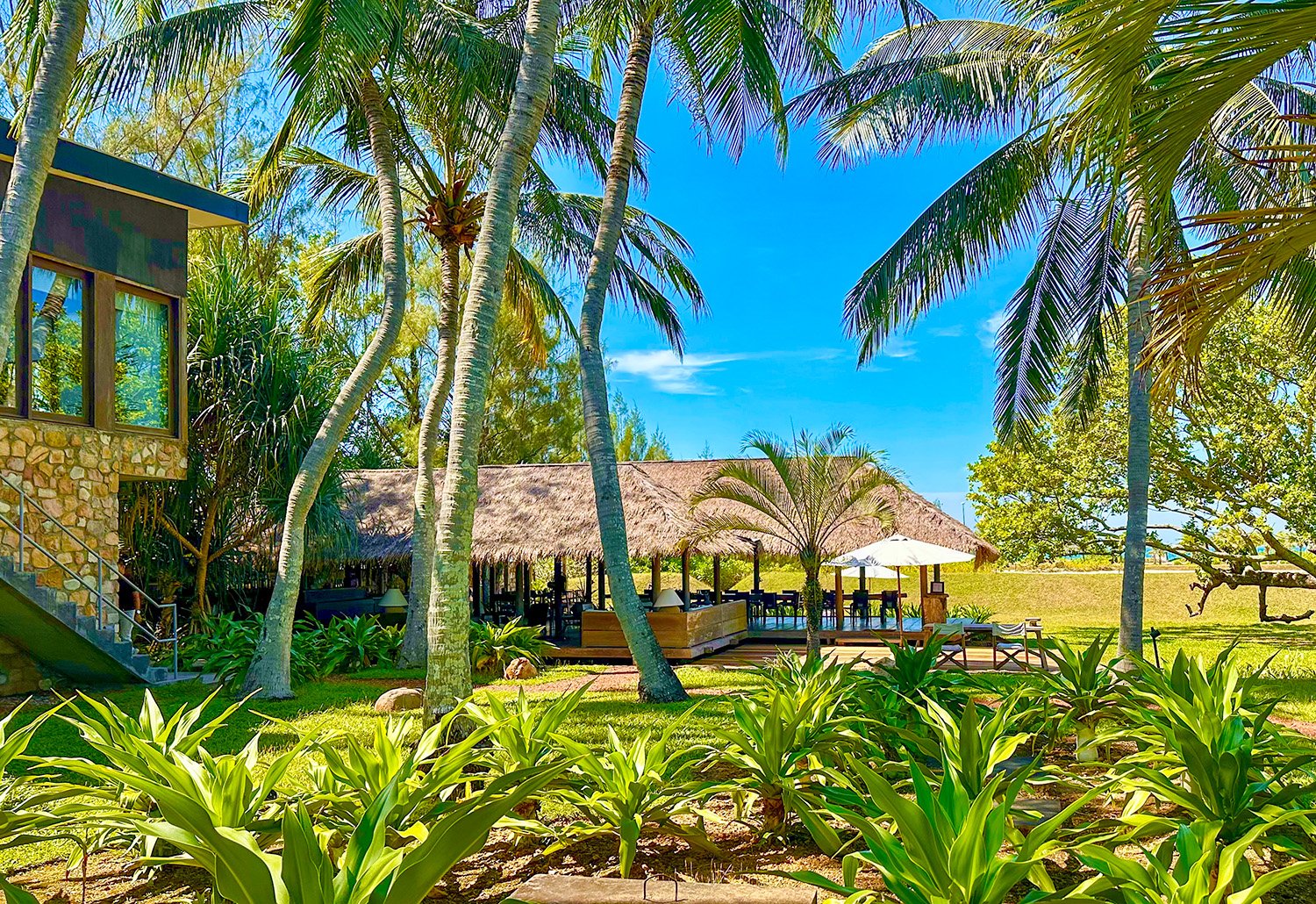 Wide exterior view of The Strand restaurant at Knai Bang Chatt resort, Kep West, Cambodia surrounded by tall coconut palms under a blue sky.