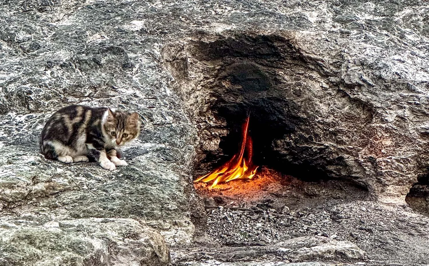 A cat warms itself while sitting next to one of the eternal flames on Mount Chimaera, Türkiye.