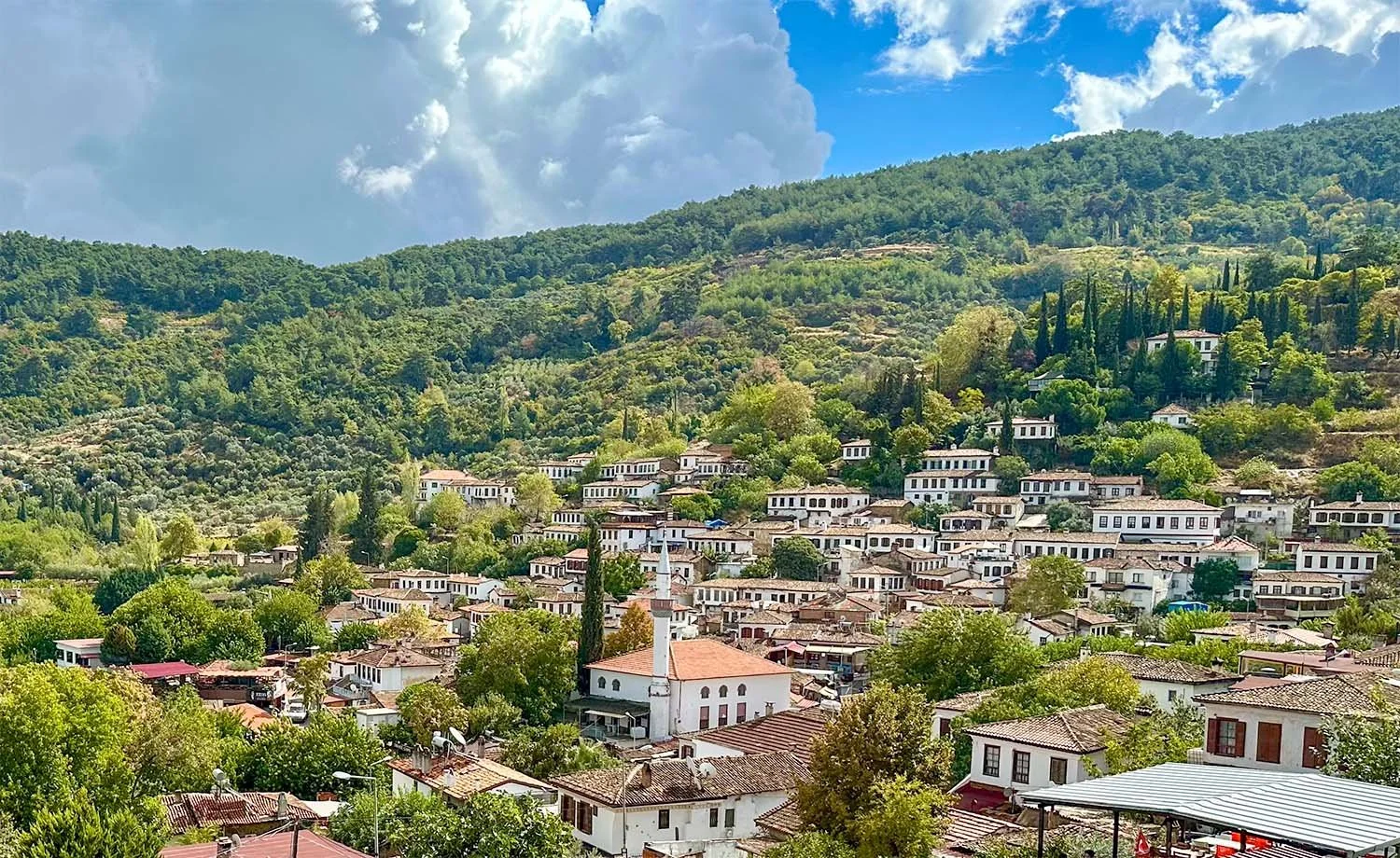 Distant view of the village of Şirince in Türkiye set in a valley of olive and fruit trees.