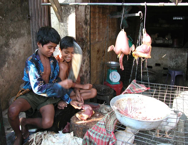 Bangladesh 08