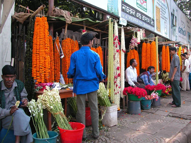 Bangladesh 11