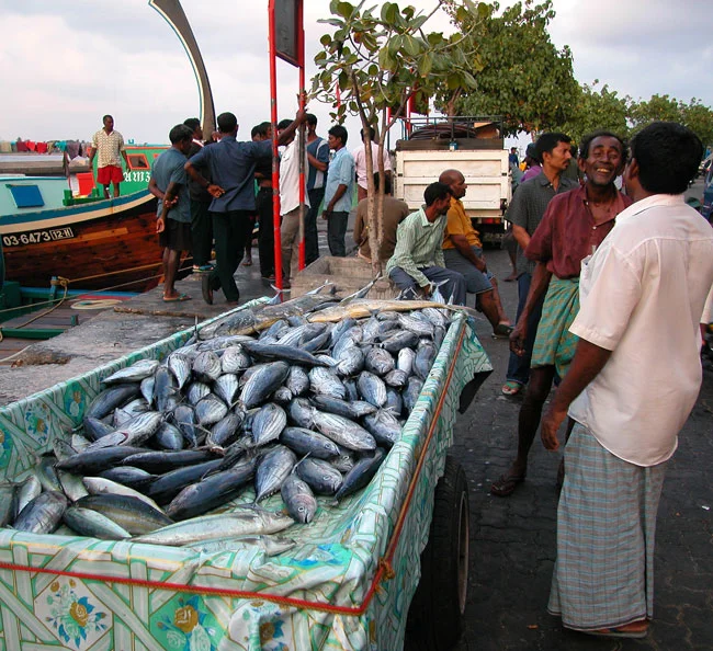 Maldives 08