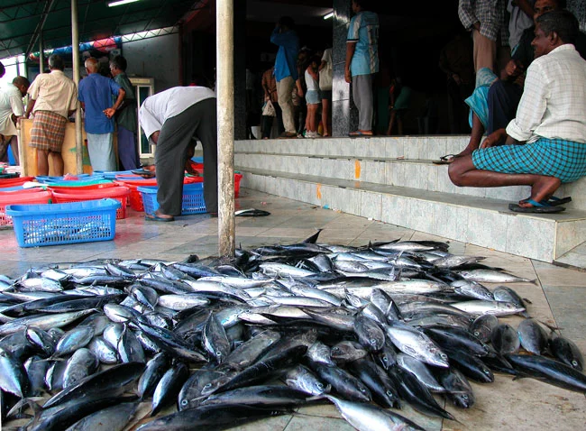 Maldives 09