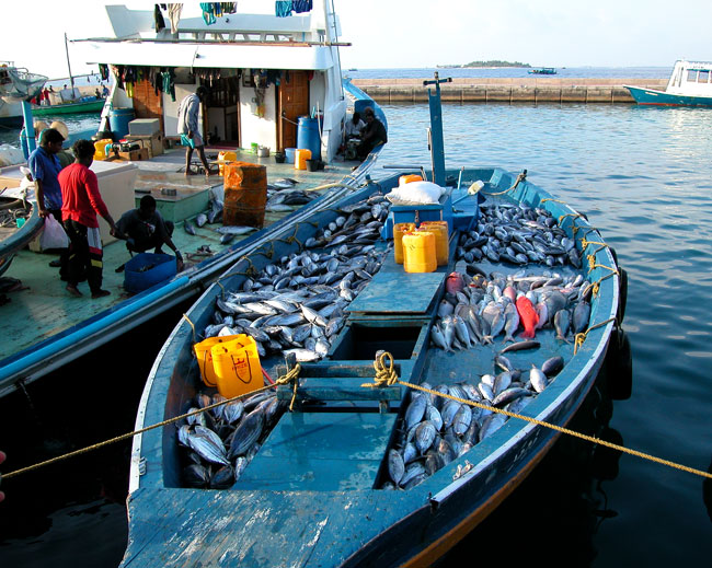 Maldives 07