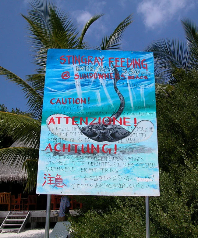 Maldives 05
