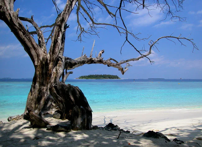 Maldives 01