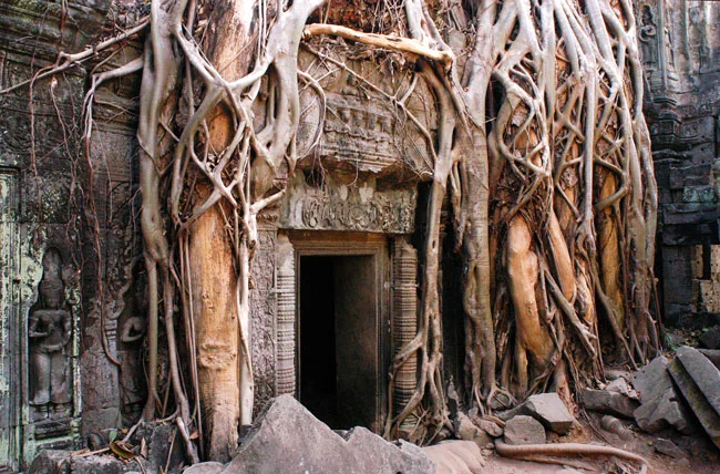 Cambodia 08