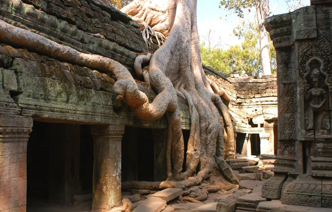 Cambodia 07