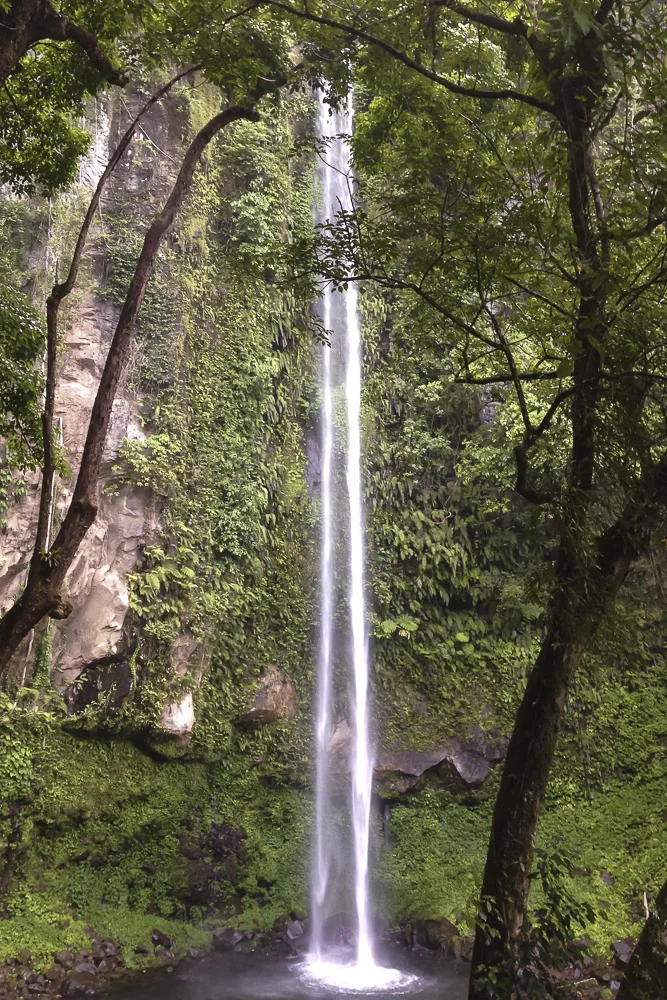 There are many waterfalls and cool swimming holes on the flanks of the volcanoes of Camiguin Island. Most of them are easily accessible by road.