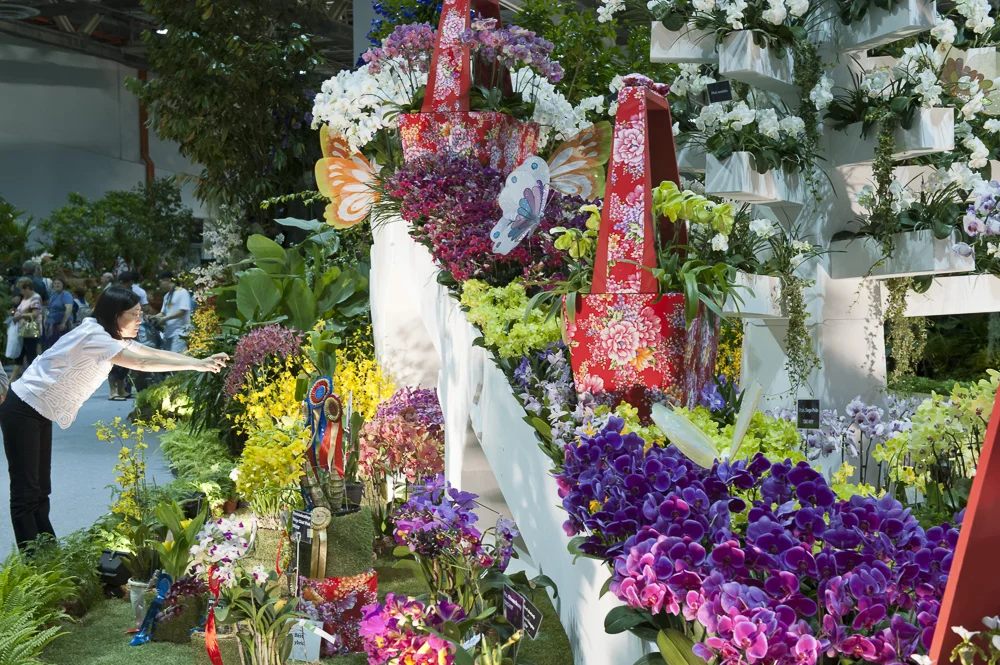 WOC Singapore 01.jpg