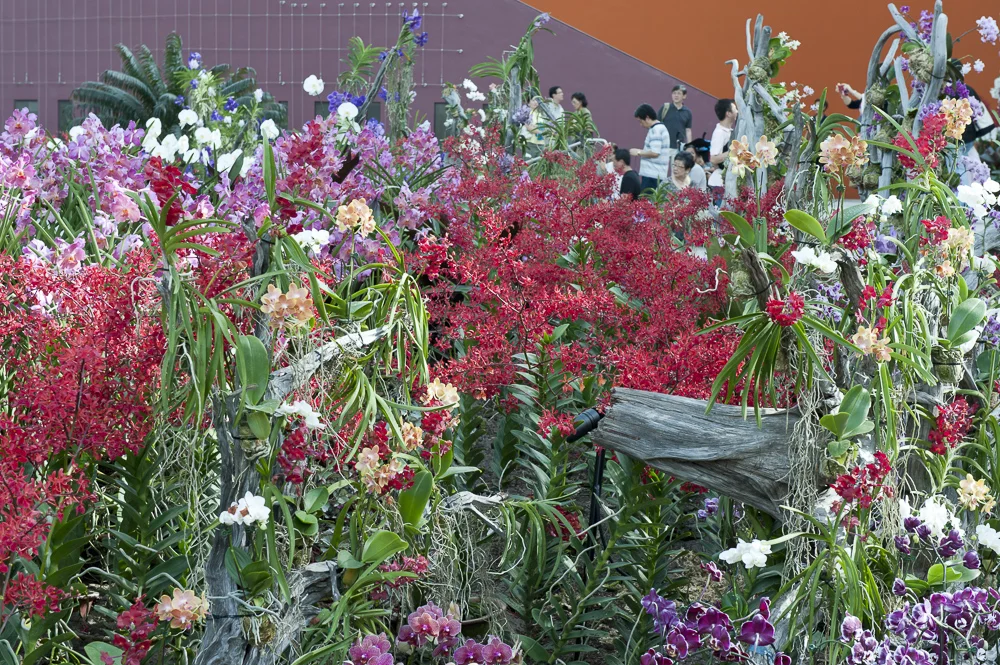 WOC Singapore 02.jpg