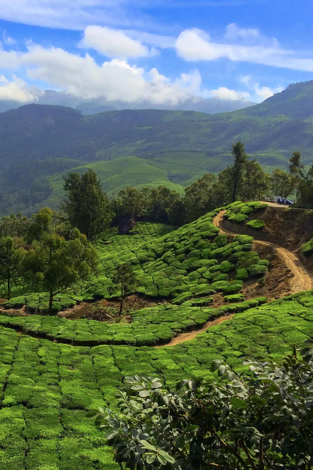 The Hill Stations of Southern India