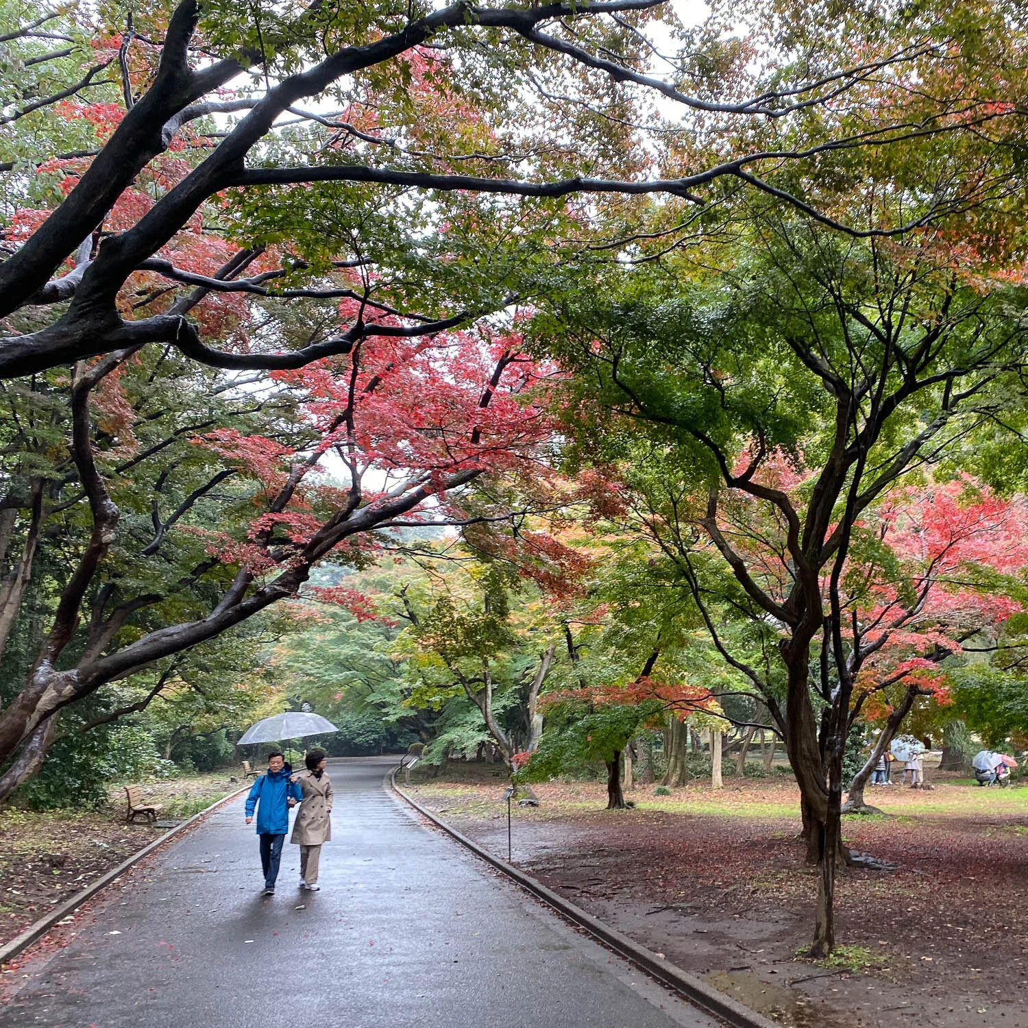 Exploring 3 of Tokyo’s Best Parks