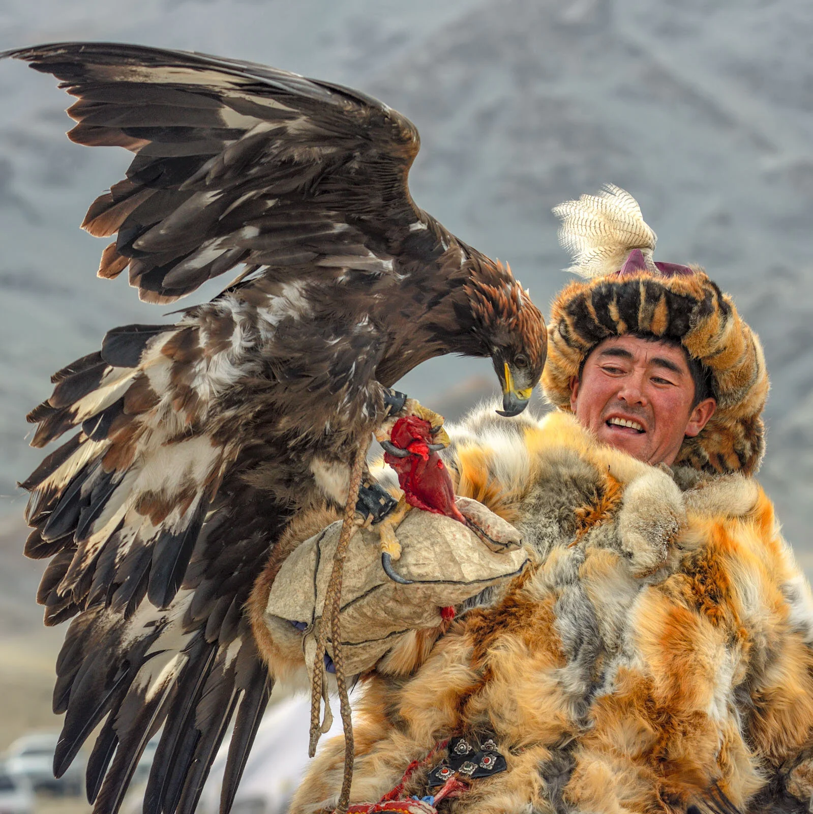 Mongolia Travel Guide