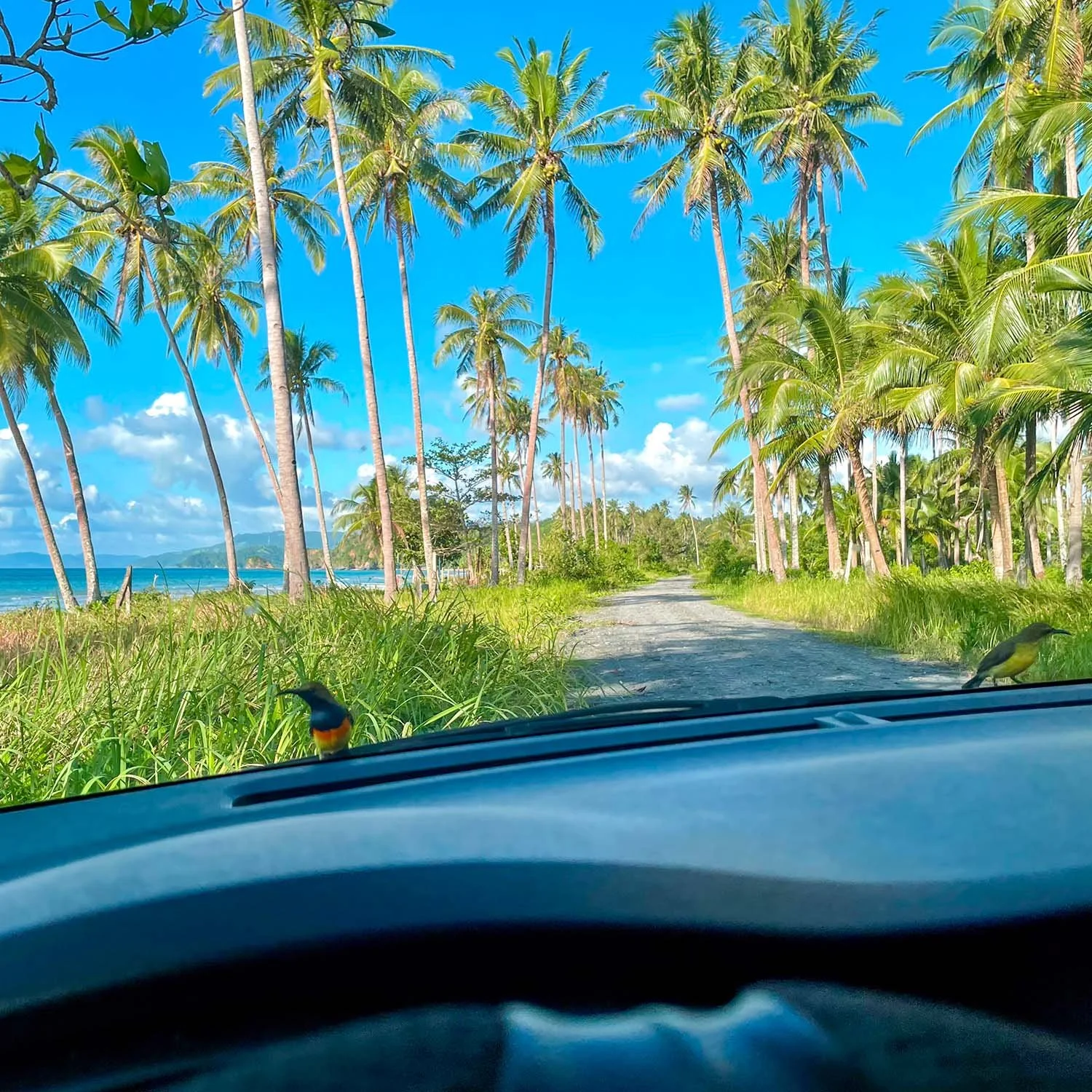 Scenic Palawan: A 7-day Self Drive Itinerary