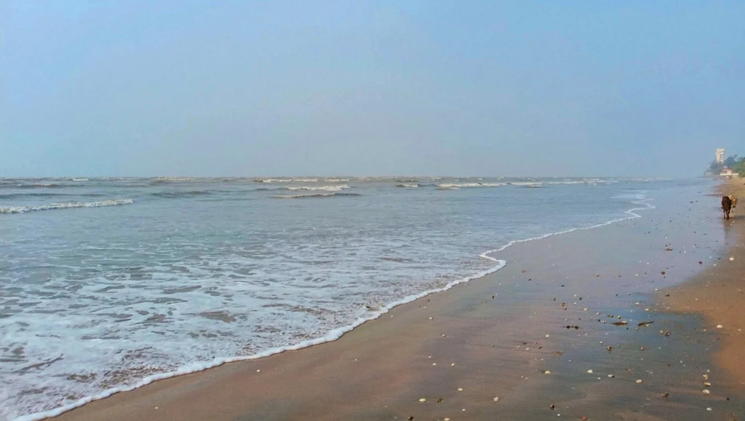An empty Chandipur Beach on the Bay of Bengal in India at close to high tide.