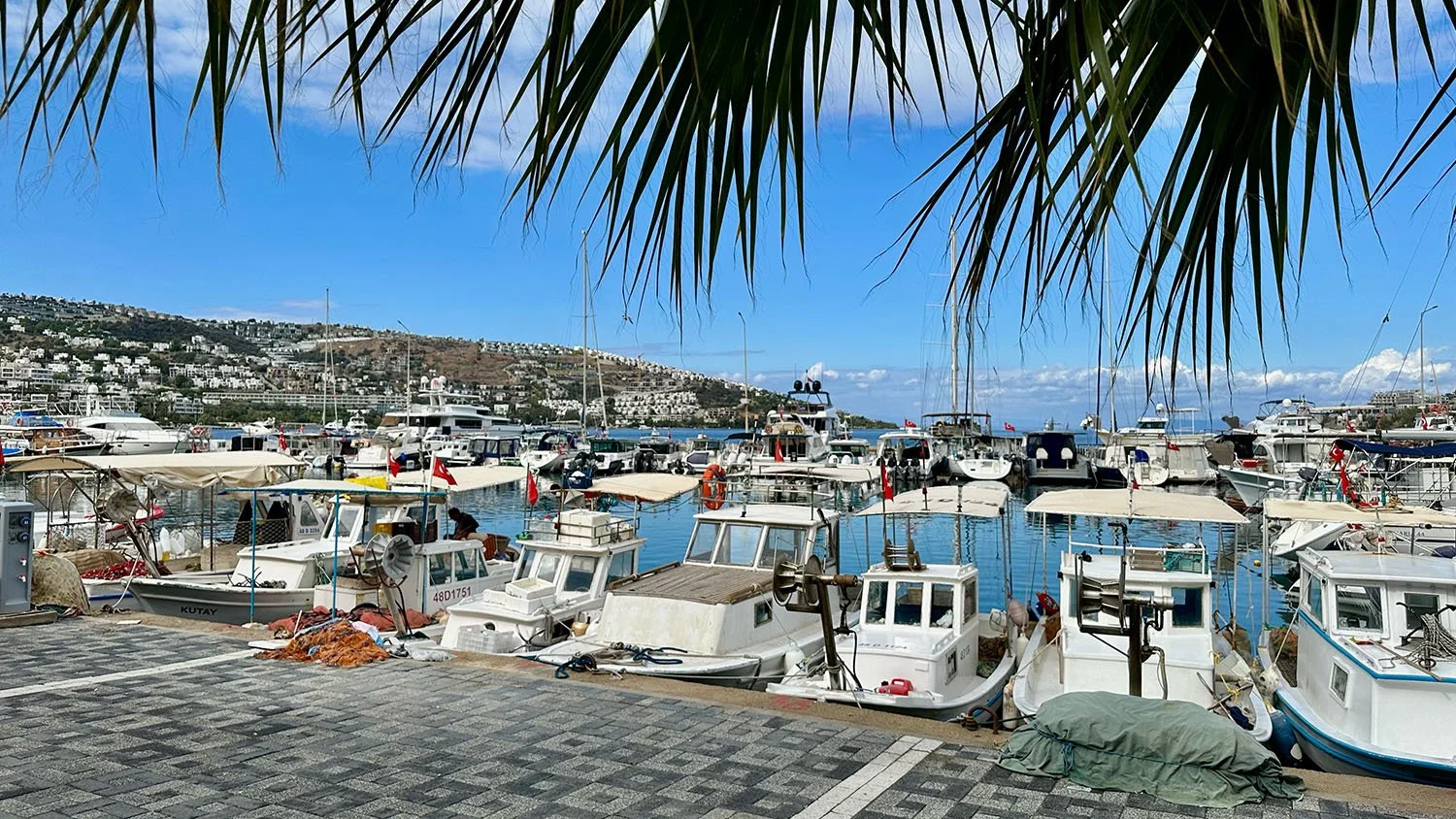 Fishing boats and yachts in a marina on the Turkish Riviera at Gündoğan, Türkiye.