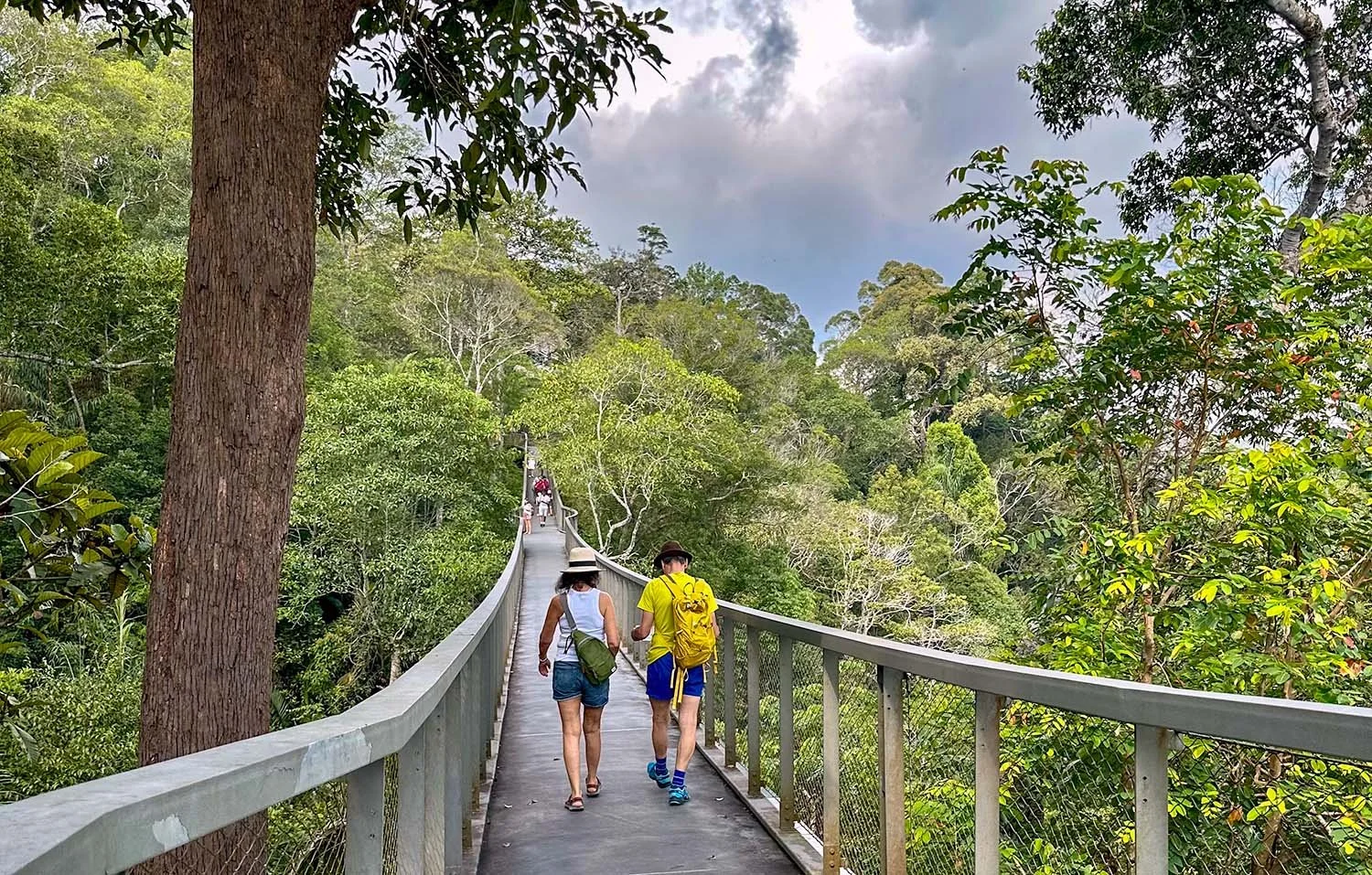 Two hikers walk along the Langur Way Canopy Walk at Habitat, Penang Hill, Penang Island, Malaysia.