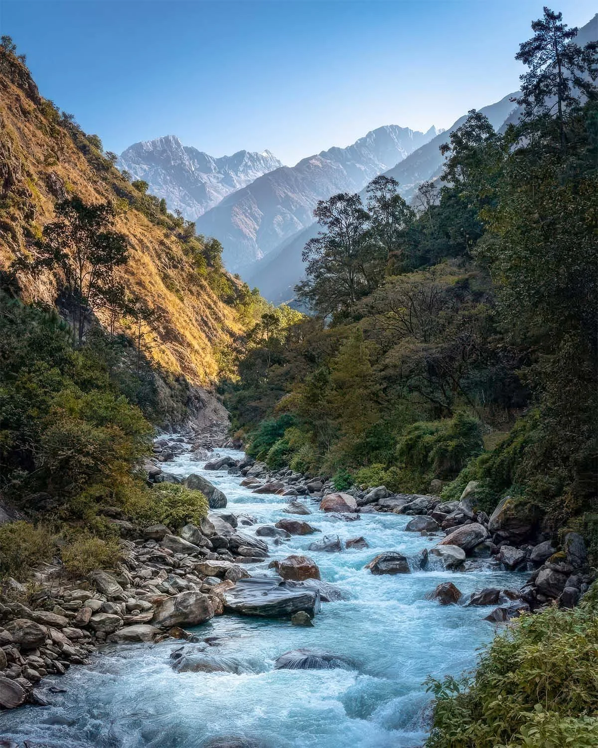 A mountain stream flowing through the lush Himalayan landscape of Nepal.