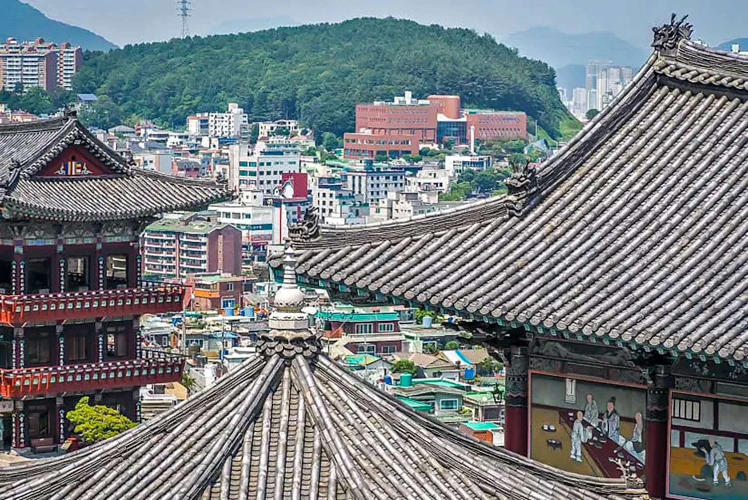 Bountiful Busan: South Korea’s Hidden Gem — xyzAsia