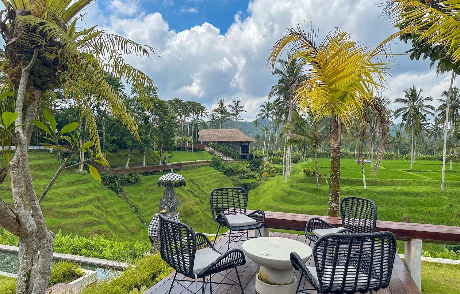 View over green terraces with palm trees from the coffee shop at the Secret Garden Village in Central Bali..