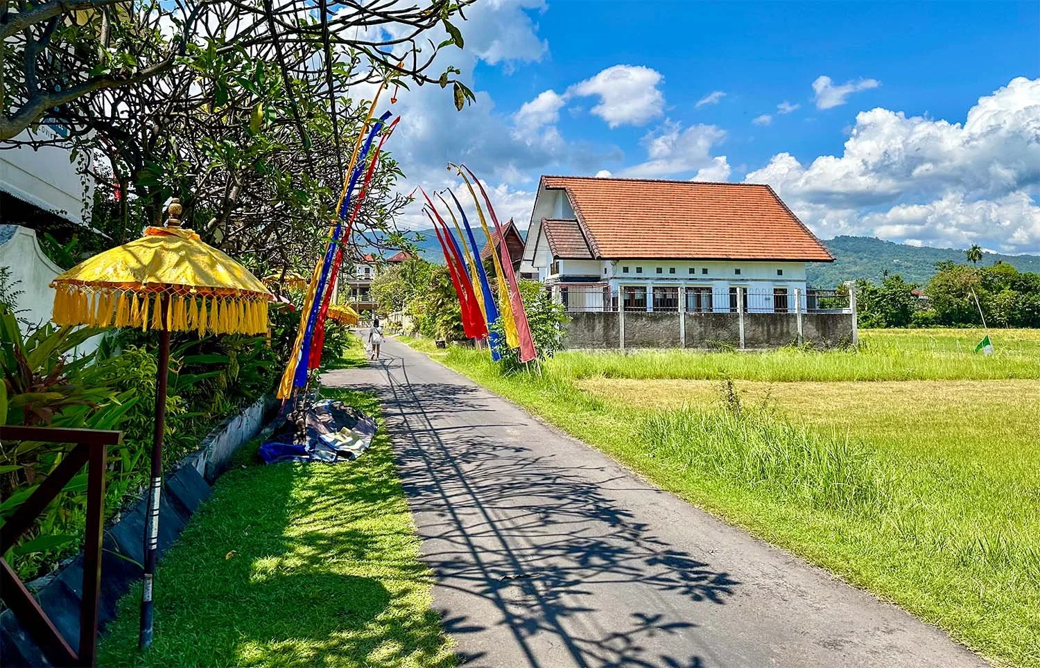 A street in Lovina Beach, North Bali, with modern villas located alongside rice fields.