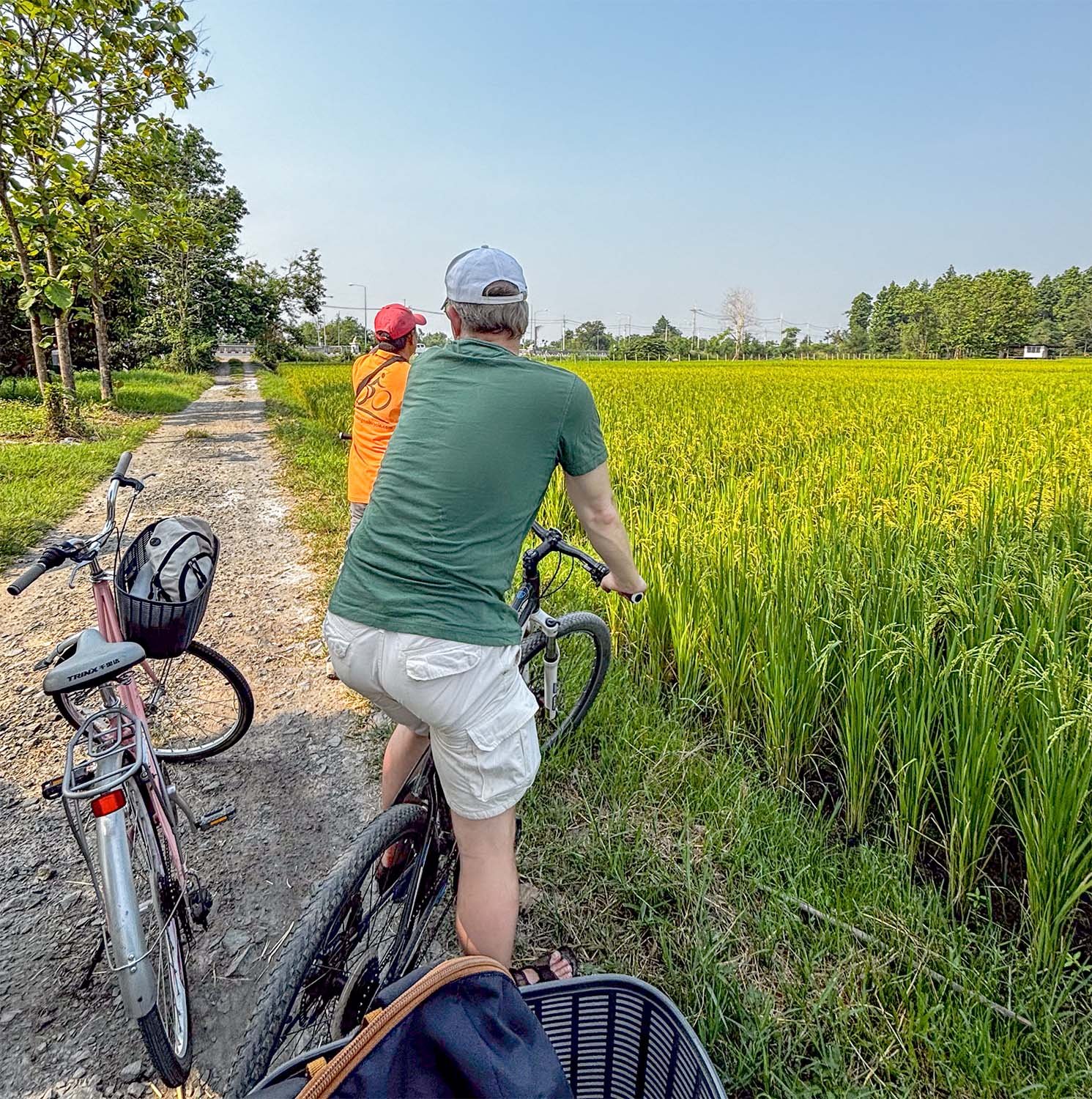Two cyclists stop on a narrow roadway to look at a rice field in the countryside near Chiang Mai in Thailand.